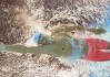 爱游戏：国乒包揽世乒赛五冠 马龙陈梦双双卫冕创历史